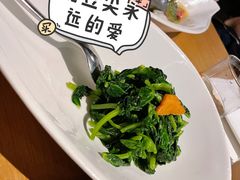 -梧桐