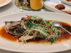 -骏莱海鲜鱼港(五角场店)