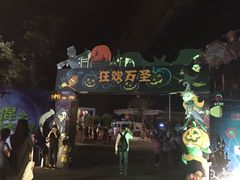 -巨鹏飞梦幻海岸