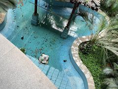 -黑龙江中医药大学附属第一医院