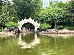 -团结湖公园