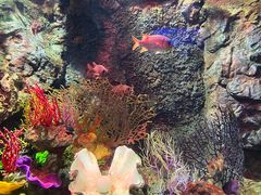 -太平洋海底世界