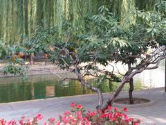 -团结湖公园