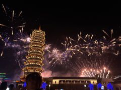 -芜湖新华联大白鲸海洋公园