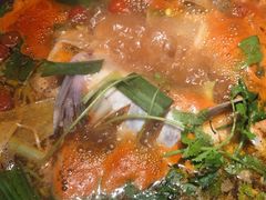 -野山舂·贵州现舂酸汤火锅(鸿通城店)