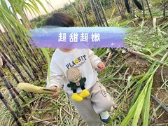 -汉长安城未央宫国家考古遗址公园