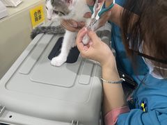 -动物缘宠物医院·骨科·猫科(西二环店)