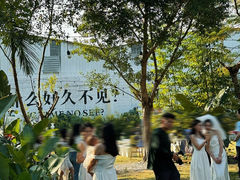 -芭厘农庄老字号·清远鸡