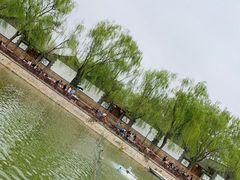-尚庄度假村·庭台树下·户外烧烤·团建CS·轰趴营地(上庄水库店)