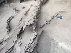 -金沙遗址博物馆