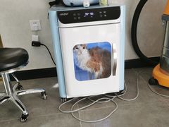 -宠爱国际动物医院(德胜门店)