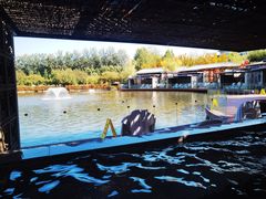 -春晖园度假酒店温泉