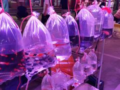 -华声天桥民俗文化园