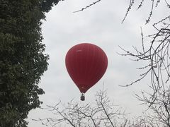 -秀丽东方
