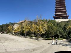 -牛首山文化旅游区