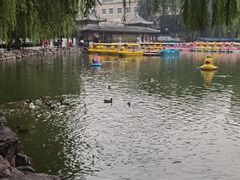 -团结湖公园