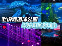 -大连老虎滩海洋公园
