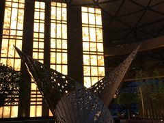 -上海滴水湖皇冠假日酒店