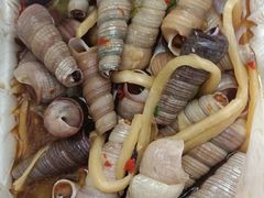 -有间冰室(侨港风情街店)