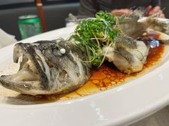 老虎斑-79号渔船海鲜饭店(华强北店)