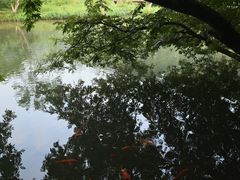 -五泄景区