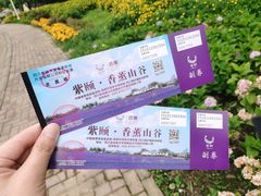 -紫颐香薰山谷景区