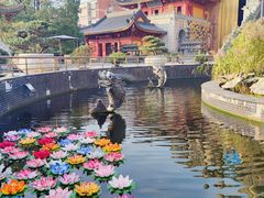 -上海东林寺(金山区)