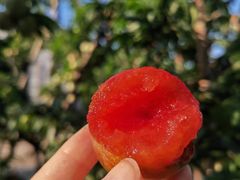 -宾湖农庄·农场特色(太湖龙之梦店)