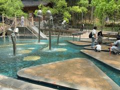 -东明山森林公园