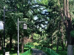 -顺城公园