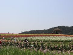 -径山花海