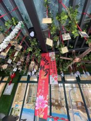 -保丽宝泰母婴护理院·月子中心·产康·中医(常州店)