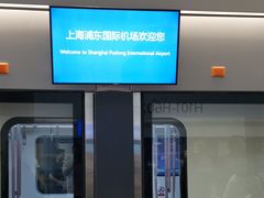 -上海浦东国际机场-T2航站楼