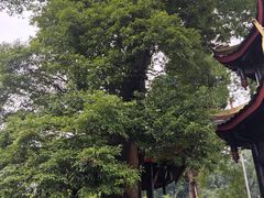 -峨眉山报国寺