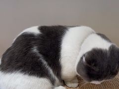 -seeu coffee(江滩店)