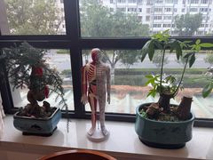 -艾柏堂8090经络·艾灸养生(御庭府邸店)