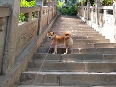 -终南山南五台景区