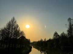 -上海滨江森林公园
