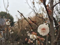 -海宁煲农家菜(惠南镇店)