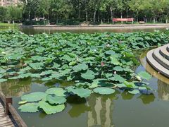 -南翠屏公园