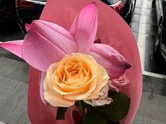 -奔驰上海利星(七宝店)