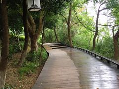 -天目湖山水园