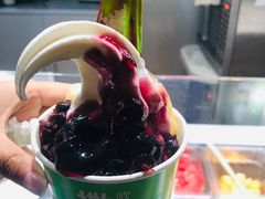 -Salud撒露欧洲冻酸奶(蓝色港湾店)