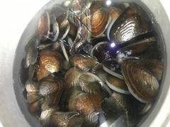 -全乐鱼馆·淳牌有机鱼直营店