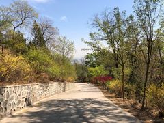-北京鹫峰国家森林公园
