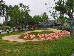 -武汉动物园