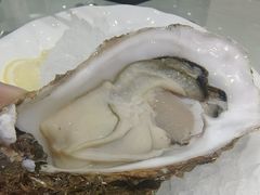 -品味居·首店·大连鲜活海鲜大连菜(东港店)