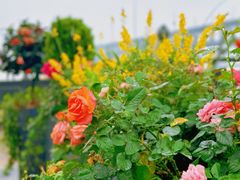 -汉水谣·江景餐厅(江滩店)