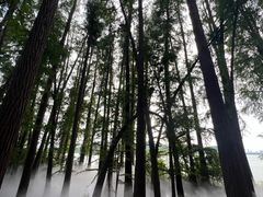 -东湖落雁景区