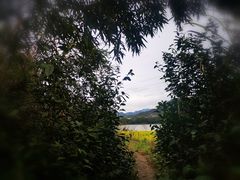 -新安江山水画廊风景区